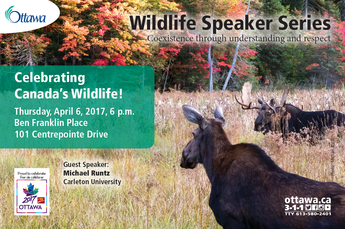 Wildlife Speaker Series: Celebrating Canada’s Wildlife – Safe Wings Ottawa