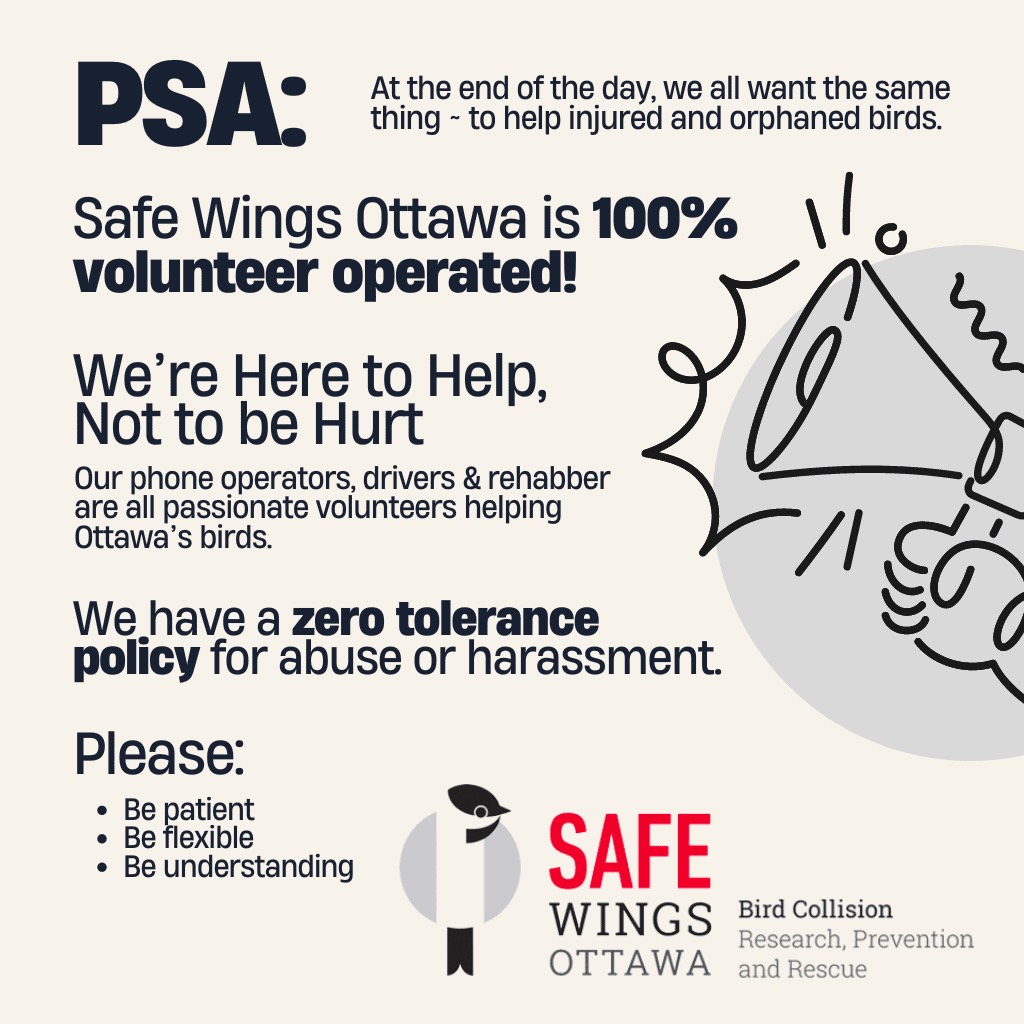 P.S.A: At the end of the day, we all want the same thing - to help injured and orphaned birds. Safe Wings Ottawa is 100% volunteer operated! We're here to help, not to be hurt. Our phone operators, drivers and rehabber are all passionate volunteers helping Ottawa's birds. We have a zero tolerance policy for abuse or harassment. Please, be patient, be flexible, be understanding. Safe wings Ottawa